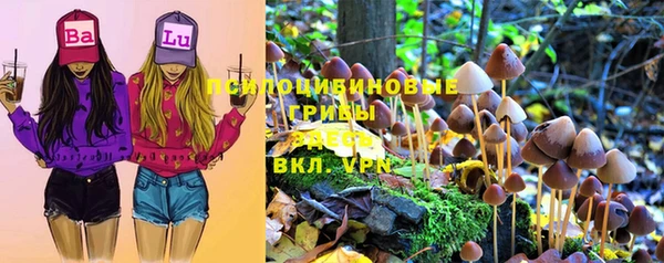 соль курить ск Алексин